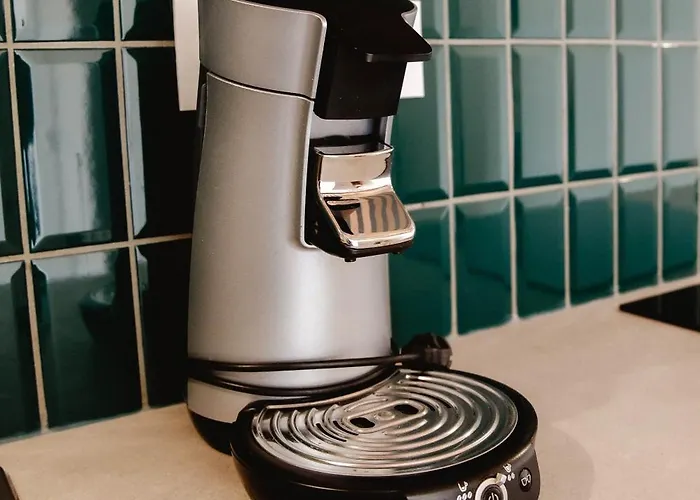 빌라 Maison Castor, Balneo Et Billard Chez Ivona 미미장플라즈